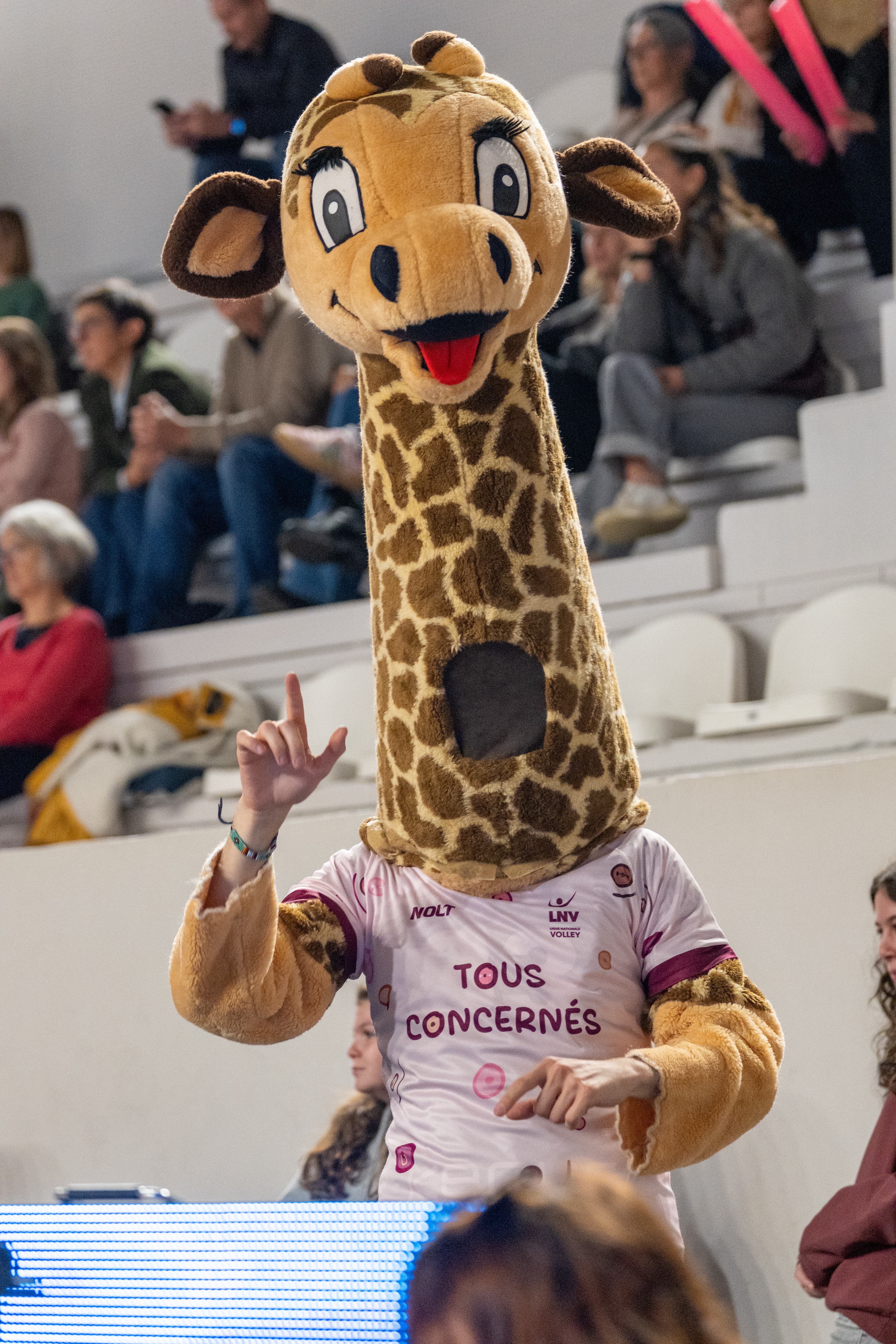 Deuxième match à domicile des Burdis contre Le Cannet