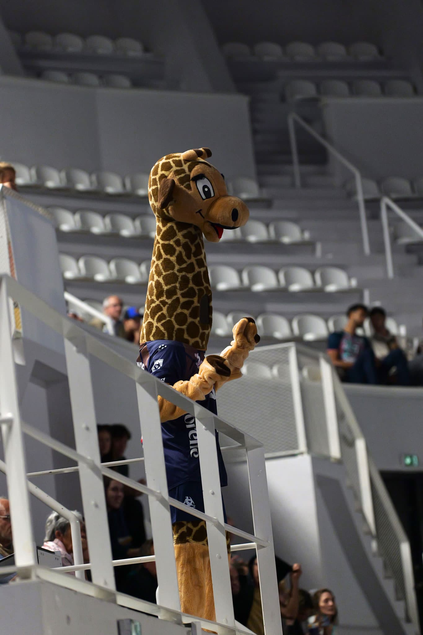 Les Burdis en action